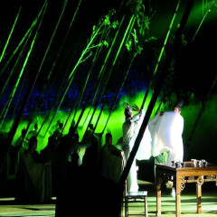 印象大红袍 活动模块