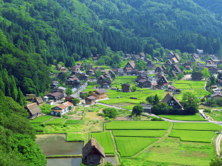 国旅日本游报价_日本新加坡旅游_日本参团旅游