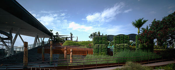 picture