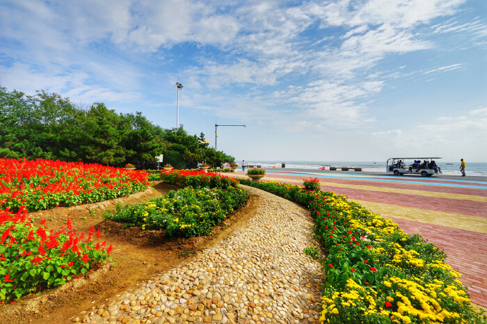 日照海滨国家森林公园    