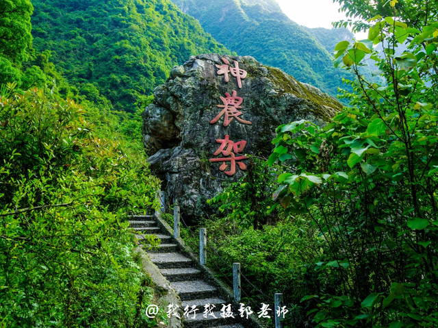 2017神农架旅游体验师曾经沧海难为水神农归来不看山