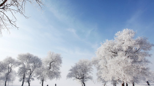  哈尔滨-雪谷-穿越雪乡-激情滑雪-雾凇岛5日游>住宿全面升级,0购物