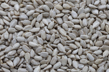 food_picture