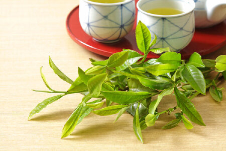food_picture