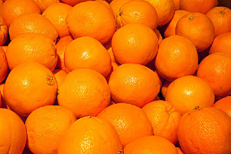 food_picture