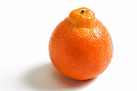 food_picture