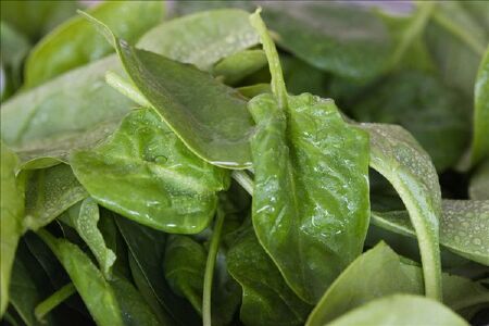 food_picture