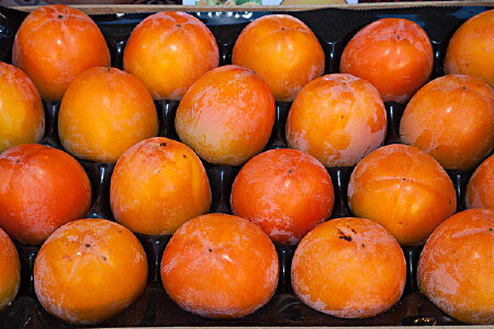 food_picture