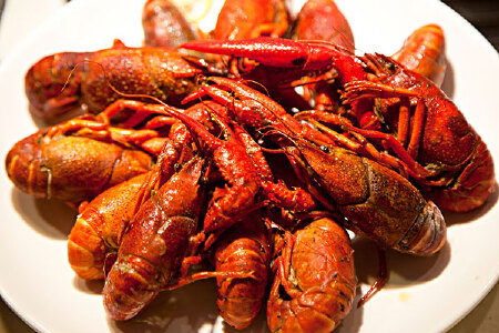 food_picture