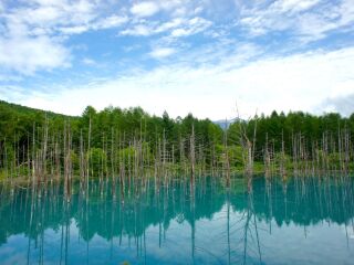 北海道跟团游的报价_最近北海道旅游_北海道旅游好的团