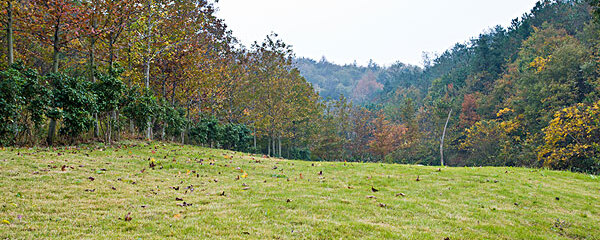 从中国地质大学逸夫博物馆到武汉海昌极地海洋