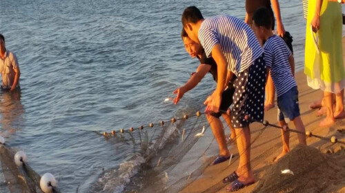 拉网捕鱼