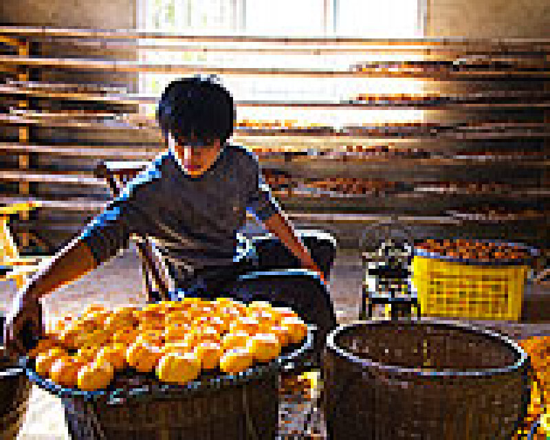 广西柿饼好吃吗_广西特产有什么_广西柿饼什