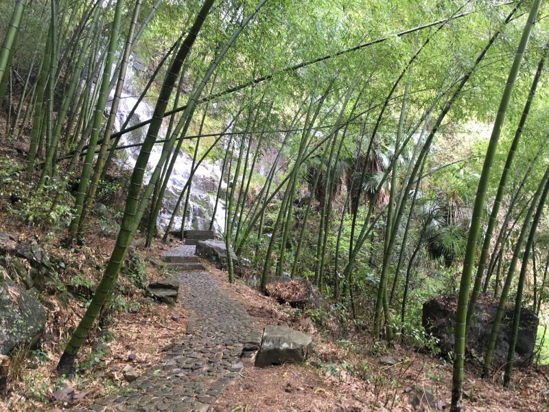 【磐安】山瀑鸣翠,竹林飞仙(清明3日深度游)