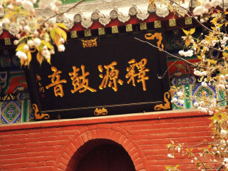 报团到云台山-龙门石窟-少林寺旅游_春节期间去云台山-龙门石窟-少林寺旅游_跟团到云台山-龙门石窟-少林寺旅游多少钱