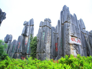 去西双版纳的旅游费用_去西双版纳旅游跟团去_西双版纳旅行游