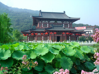 西安兵馬俑游組團(tuán)_到西安兵馬俑旅游報團(tuán)價格_西安兵馬俑半自由行