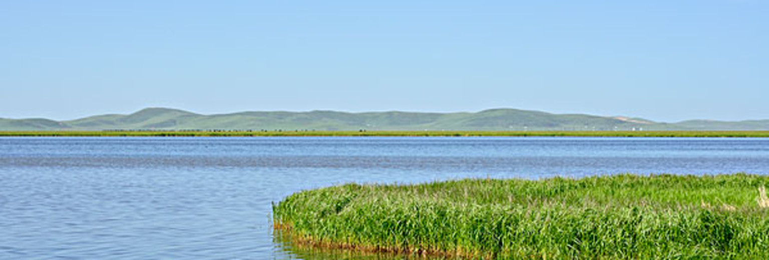 鄱阳湖国家湿地公园旅游攻略