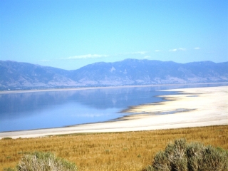 特價(jià)美國(guó)游_春節(jié)假期去美國(guó)游價(jià)格_美國(guó)旅行團(tuán)