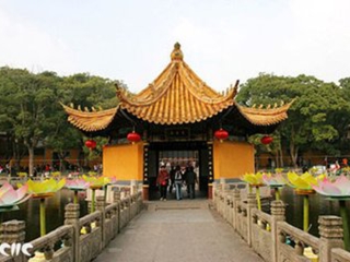 現(xiàn)在去普陀山旅游多少錢_特價普陀山游_近期普陀山游價格