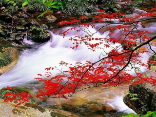 湖南長(zhǎng)沙九月旅游_湖南長(zhǎng)沙高端品質(zhì)旅游團(tuán)_湖南長(zhǎng)沙游特價(jià)團(tuán)