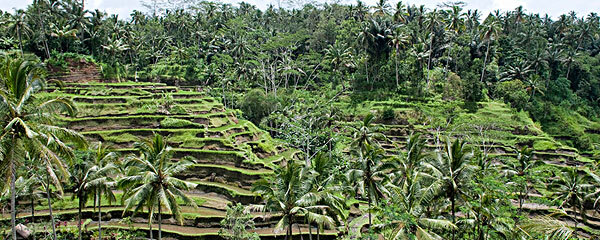 11月去巴厘岛穿什么_巴厘岛十一月穿什么鞋_