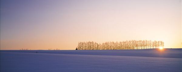 11月去北海道注意事项_北海道十一月人多吗_
