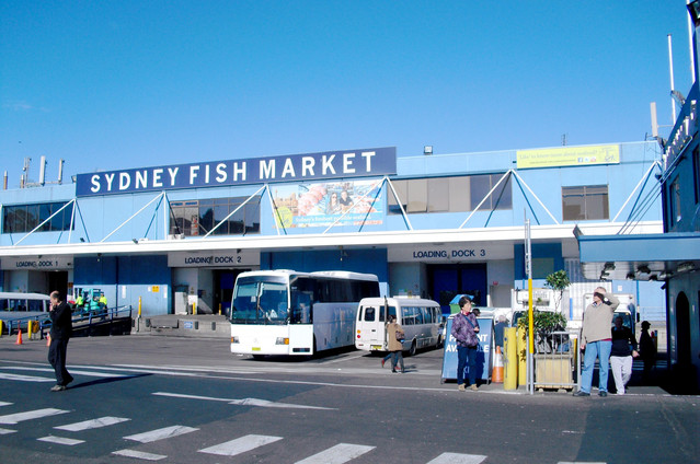 这是悉尼鱼市场的大门口.