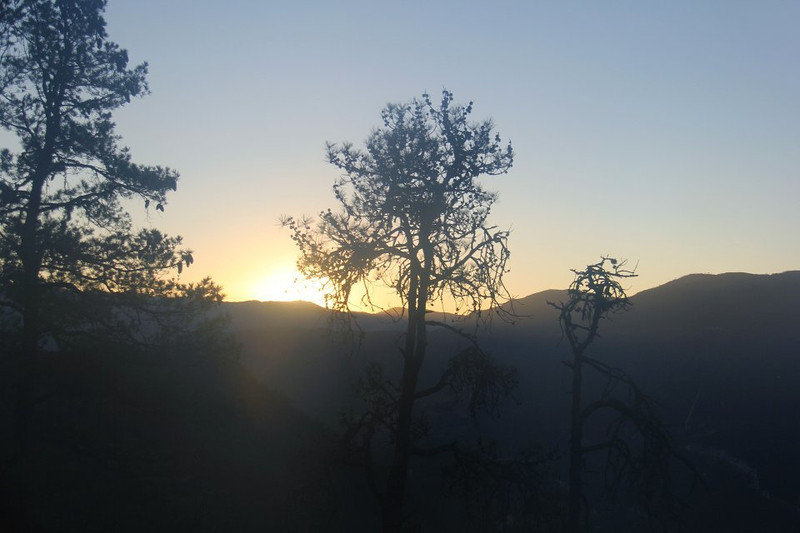 早晨8点多的太阳,刚刚爬出山头