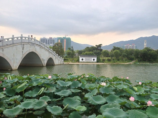 飞来湖湿地公园