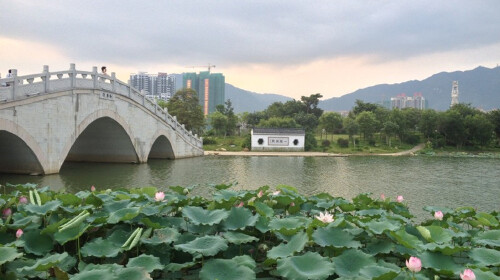  清远古龙峡漂流-龙腾峡漂流-飞来湖湿地公园-金鸡岩2日游>享双漂刺激