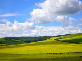 旅游團(tuán)內(nèi)蒙古呼倫貝爾_怎么去內(nèi)蒙古呼倫貝爾旅游_組團(tuán)去內(nèi)蒙古呼倫貝爾