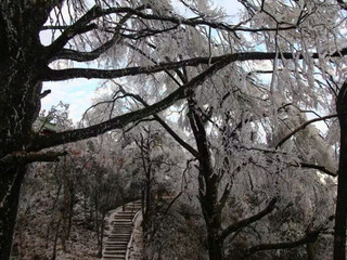 泡高山温泉 赏冰挂雾松 美食度假之旅