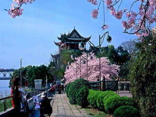 中旅武汉旅游_武汉著名旅游_旅行武汉