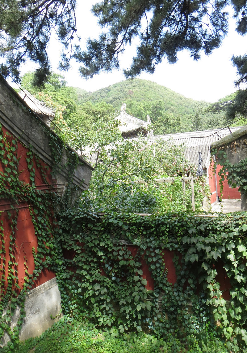 [北京的皇家寺院](一)皇家第一寺院-潭柘寺(摄影精华版)