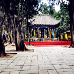 景点模块 