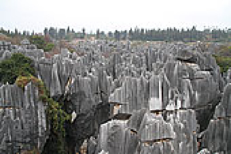 春节旅游去哪里_云南好玩吗_云南有什么好玩