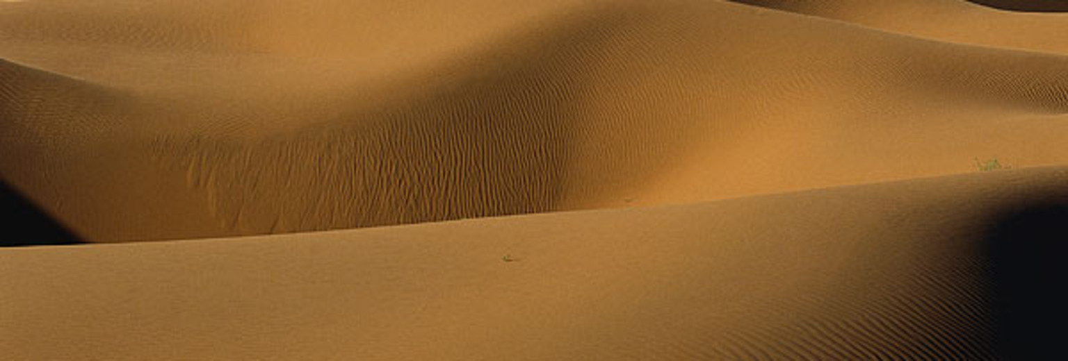 腾格里沙漠1
