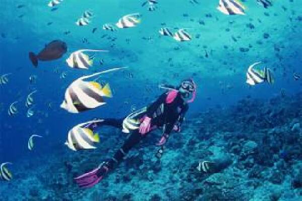 玩在澳大利亚_澳大利亚潜水_什么时候去潜水