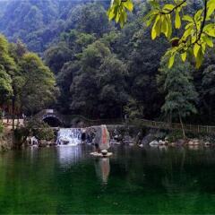 活动模块 