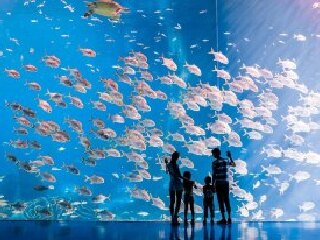 【本地精华】 珠海长隆海洋王国一日游【观赏