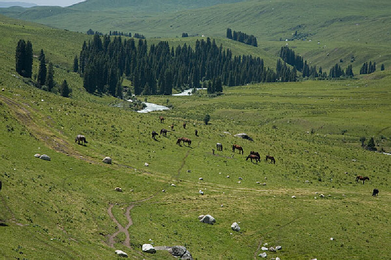 尼勒克县图片_尼勒克县旅游图片_尼勒克县旅游景点图片大全_途牛