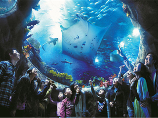 香港海洋公園旅游團_香港海洋公園游 旅行團_香港海洋公園旅游費用