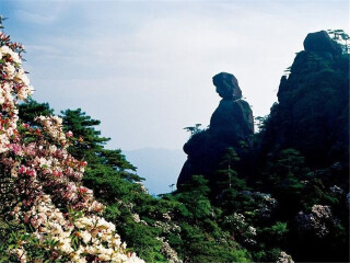 旅游團廬山_廬山私人定制旅游_廬山報團旅游多少錢