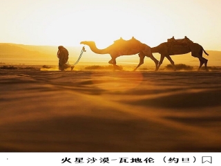 怎么去以色列旅游_以色列雙人七日游_跟團(tuán)以色列旅游價格表