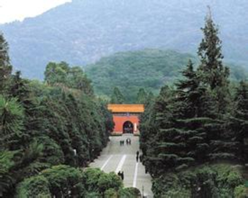 南京明孝陵在南京市东郊紫金山(钟山)南麓独龙    乘坐机场巴士2号线