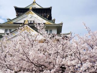 日本大阪旅游要多少錢2021_東莞到日本大阪游_組團去日本大阪