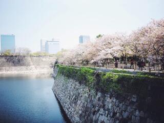 日本大阪旅游要多少錢2021_東莞到日本大阪游_組團去日本大阪