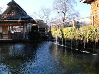 日本旅游最佳路線_日本旅游幾月份最便宜_深圳日本六日游純玩團(tuán)
