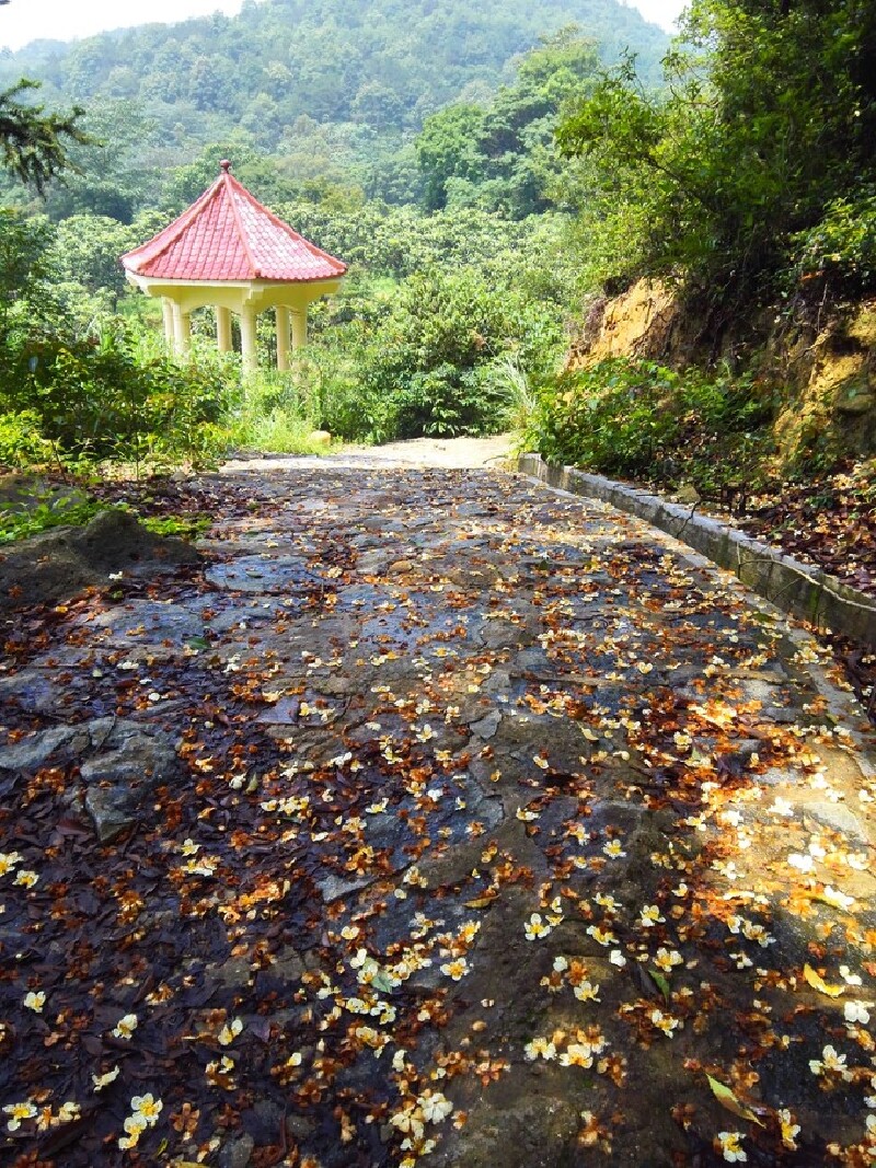 莆田天马山            